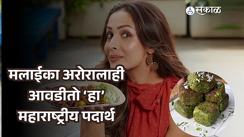 Paneer Thecha Recipe
