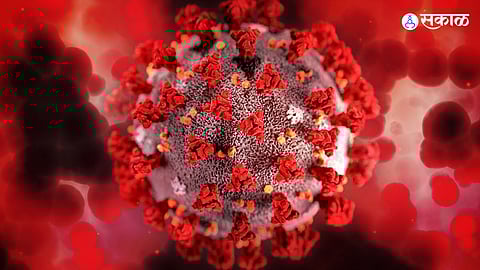 HMPV Virus