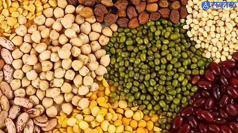 Sangli Pulses prices to remain low this year relief