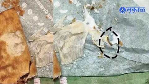 Burger King Insects Found