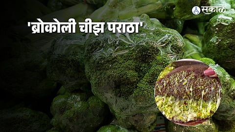 Broccoli Cheese Paratha Recipe: