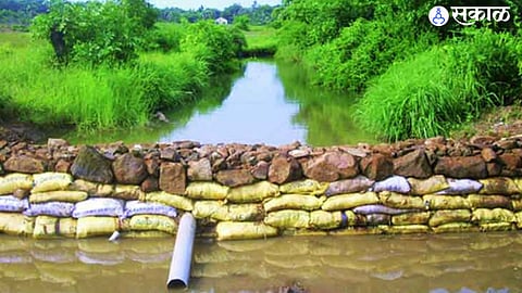 Forest department workers left idle while selected contractors and engineers receive preferential treatment, highlighting inefficiency and favoritism in the system