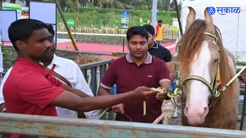 Baramati Krushik 2025