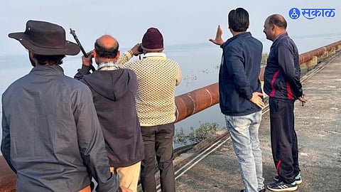 Jayakwadi Bird Sanctuary