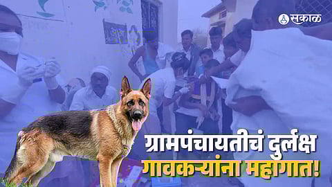 Hingoli dog well