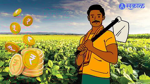 Crop Insurance Scam : पीक विम्यातील बोगसगिरी उघड, चार लाख अर्ज रद्द; बीड जिल्ह्यातील एक लाख अर्जांचा समावेश