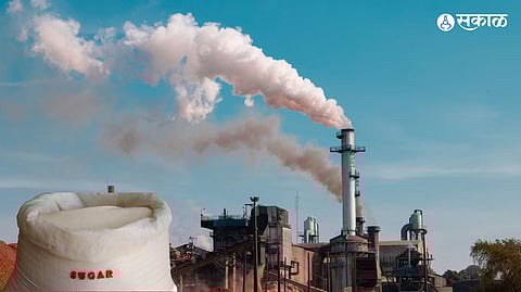 Sugar Industry