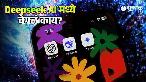 DeepSeek AI model how to use it