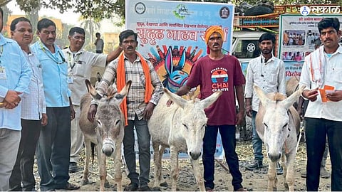 Agricultural Technology