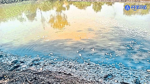 Fish in a village pond have died due to contaminated water, and authorities are urging the Pollution Control Board to intervene to prevent further environmental damage.