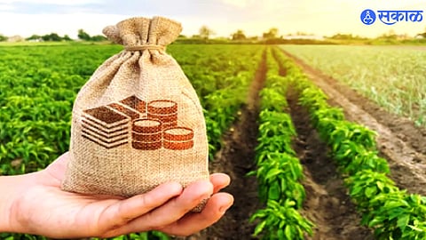 Private banks outperform district banks in disbursing Rabi crop loans, with only 22% of the loans provided so far."