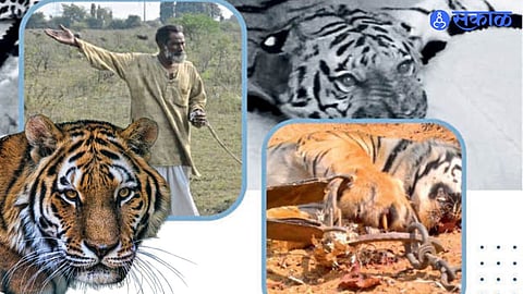 Nagpur police launch awareness campaign on tiger poaching