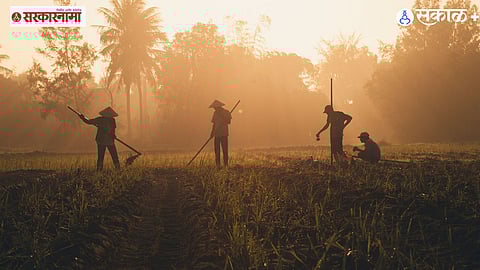 Empowering rural prosperity