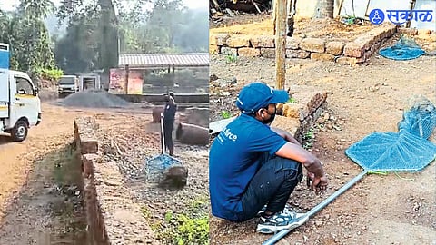 Sterilization trials on 100 dogs in Harnait to combat the growing menace and improve public safety.