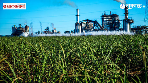 Cooperative Movement