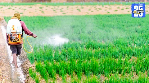 Maharashtra Agriculture
