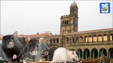 Savitribai Phule Pune University