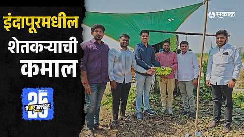 An Indapur farmer successfully cultivates bananas on 7 acres, generating a massive ₹60 lakh income