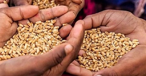 संग्रहित छायाचित्र