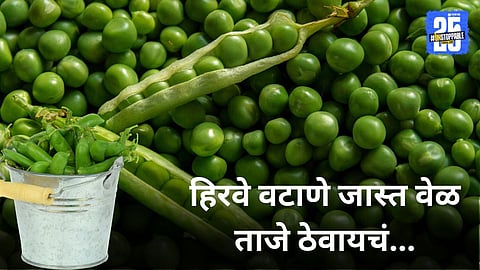 How to keep green peas fresh