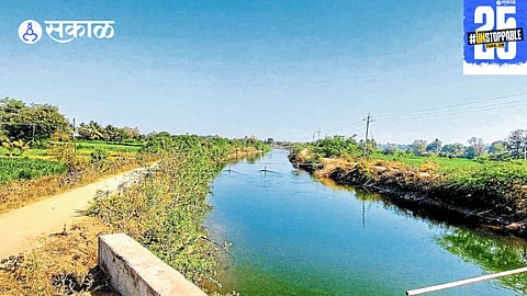 Farmers celebrate the Mula Dam's water release, which provides vital irrigation to revive Rabi crops and offers hope for the summer