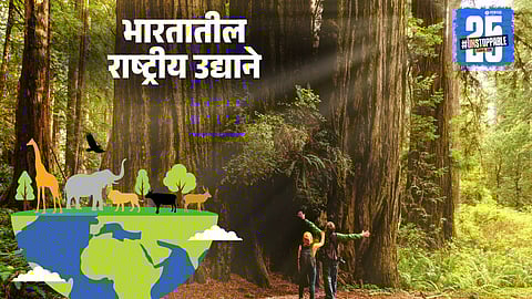 World Wildlife Day 2025: