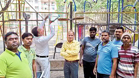 या चिमण्यांनो ! परत फिरा, चारा खा, पाणी प्या...