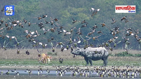 Wildlife Sanctuaries