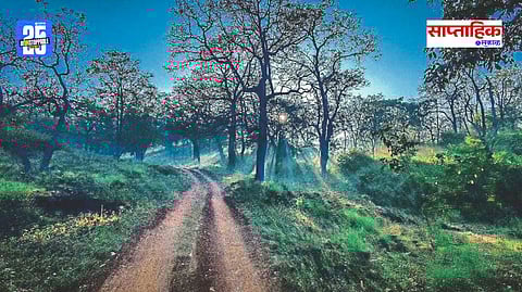 Nature’s Sanctuary