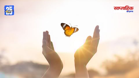 Butterfly Metamorphosis