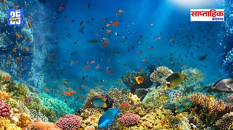 Underwater Heaven