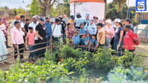 Panasa’s organic backyard garden pioneers a new path in sustainable farming, now reaching global markets with innovative organic methods."