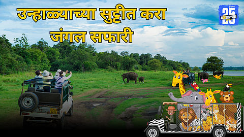 National Park Visits This Summer