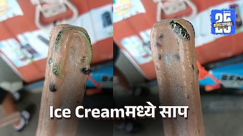 Snake Found In Ice Cream