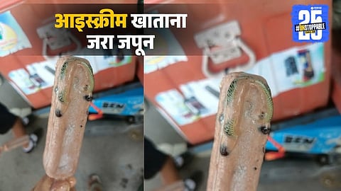 Snake found in ice cream shocking viral news