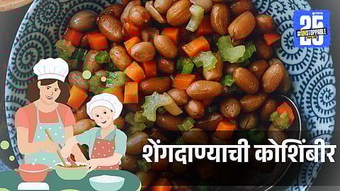 Shengdanyachi Koshimbir