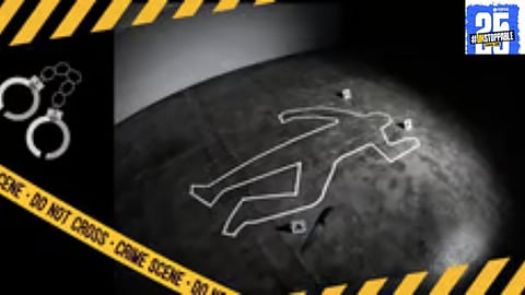 "The revenge killing of a suspect in a brother's murder case unfolds after a suspected alcohol-fueled attack."