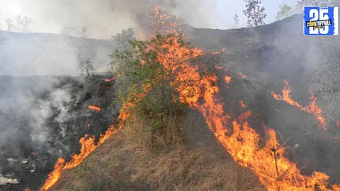Awareness and strong enforcement are crucial to preventing wildfires and protecting our environment."