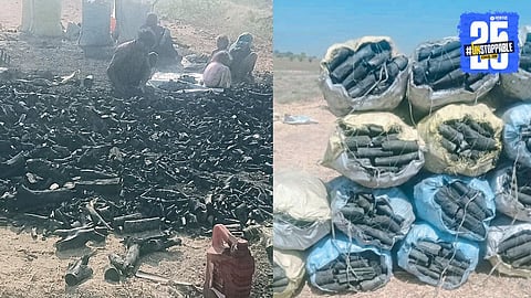 Illegal Tree Felling