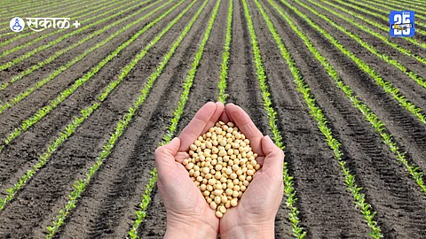 Agricultural