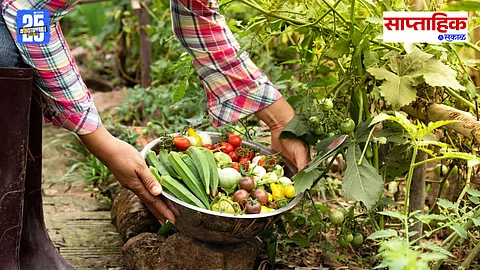 Organic Farming