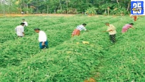 Farmers in Shirala Taluka assist exam candidates during a search operation, showcasing rural community collaboration."