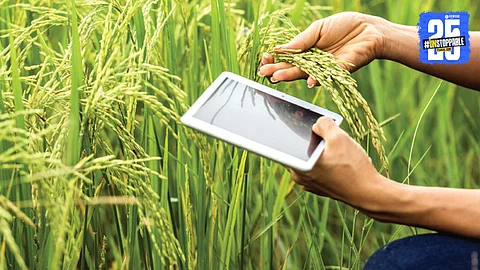 Agriculture Innovation