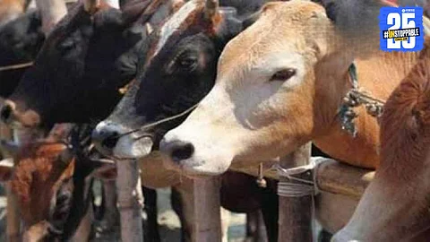 Dombivli News