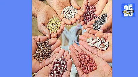 Agriculture News