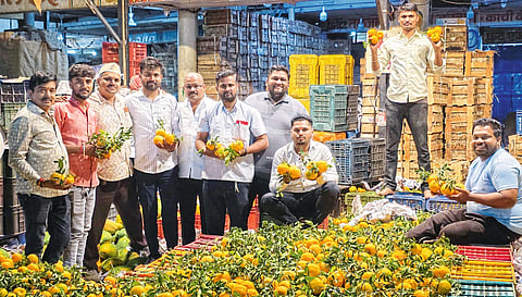 संत्रीला उच्चांकी २२२ रुपये भाव