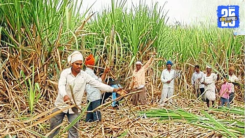 Sugarcane Farmers