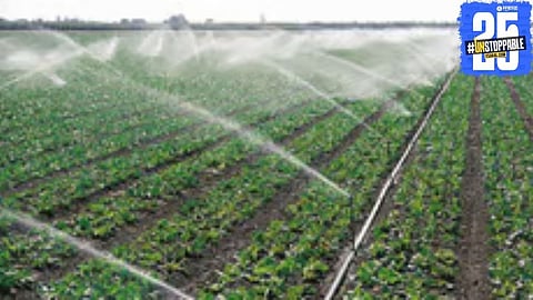 Government shifts focus from millets to organic farming; farmers left confused by changing priorities.