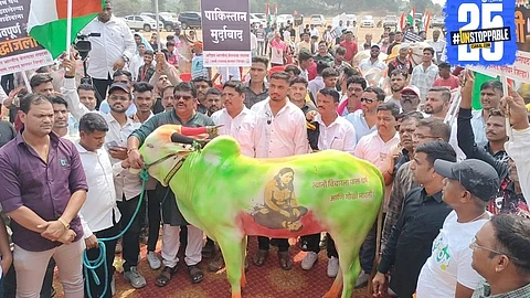 Bulls stand peacefully with their owners in a powerful protest led by Akhil Bharatiya Sanghatana, symbolizing cultural pride and animal respect.