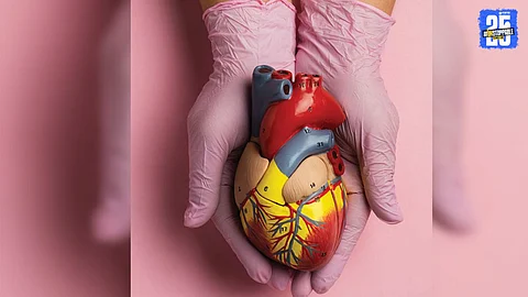younger brother donates liver to older brother